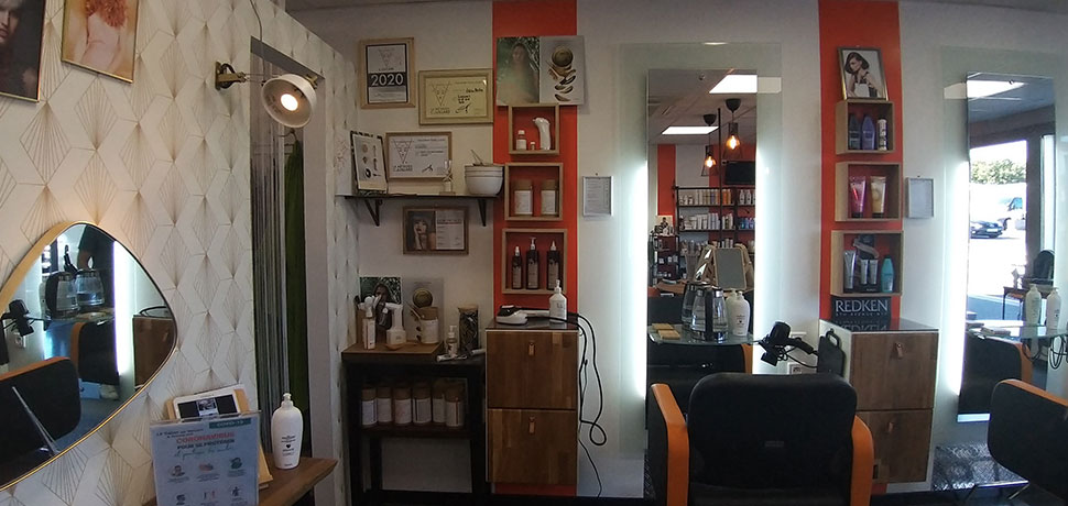 le salon