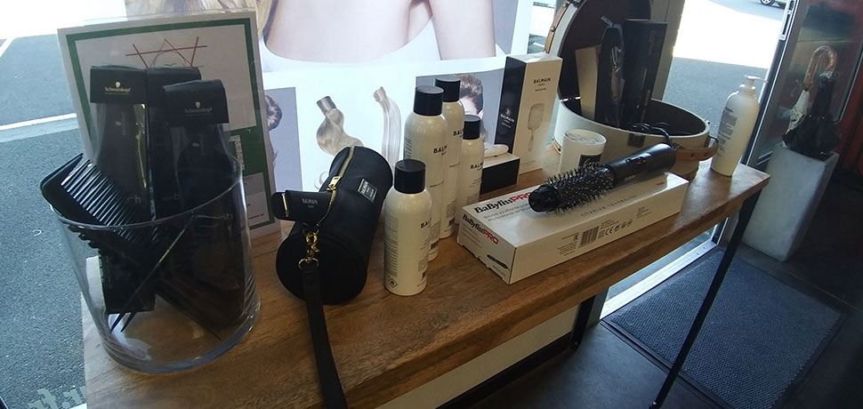 le salon